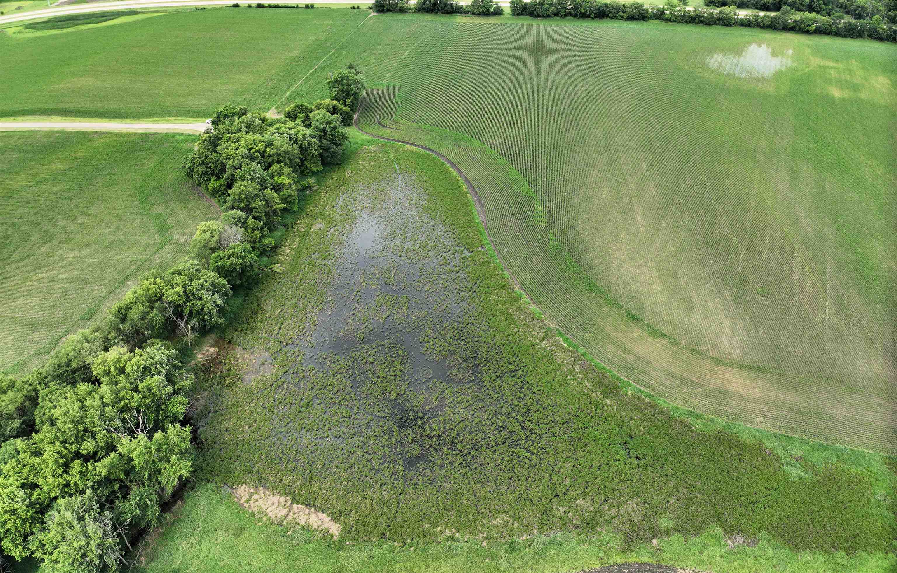 89.14-acres Smokey Hollow Road Freeport, IL 61032 - Photo 13 of 15