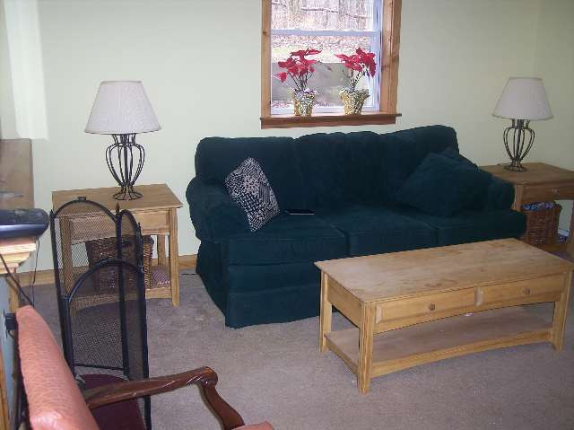 830 Sunside Road Cairo, NY 12413 - Photo 6 of 8 Photo 6