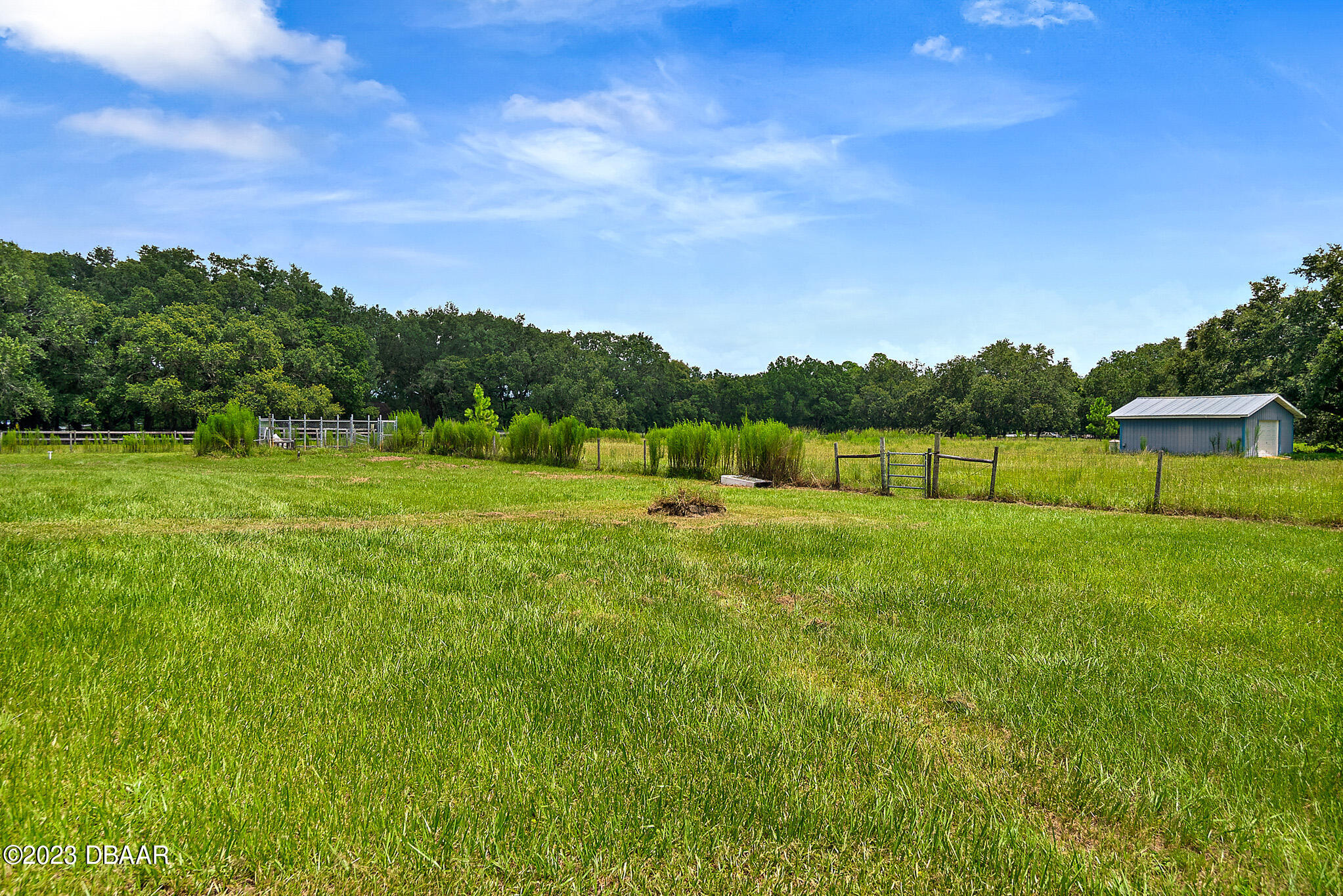 1565 Clark Bay Road DeLand, FL 32724 - Photo 57 of 61 1565ClarkBayRdPhotos-52