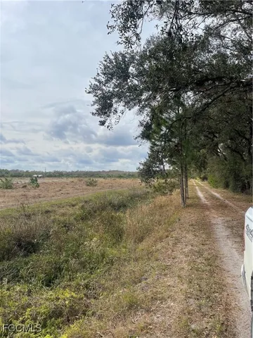 a view of a yard with an trees