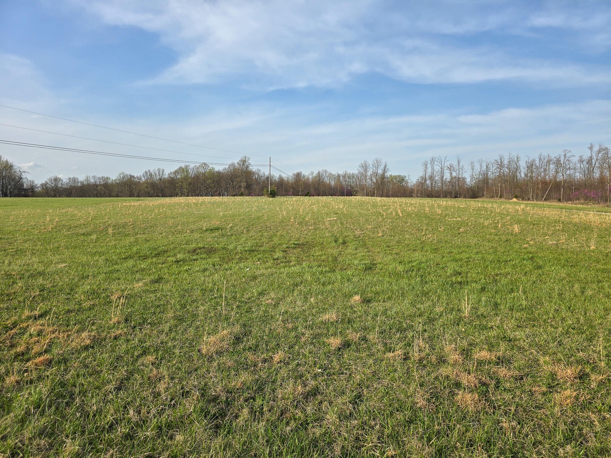 0 Walter Huff Road Liberty, KY 42539 - Photo 9 of 14 20250402_182614