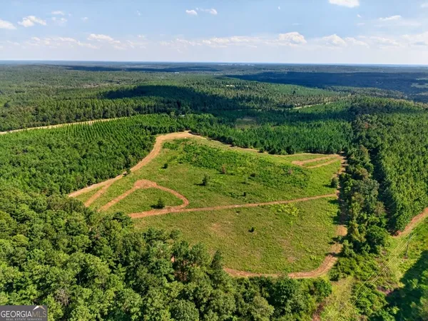 $399,000 | 2150 Buena Vista Highway, Mauk, GA 31058