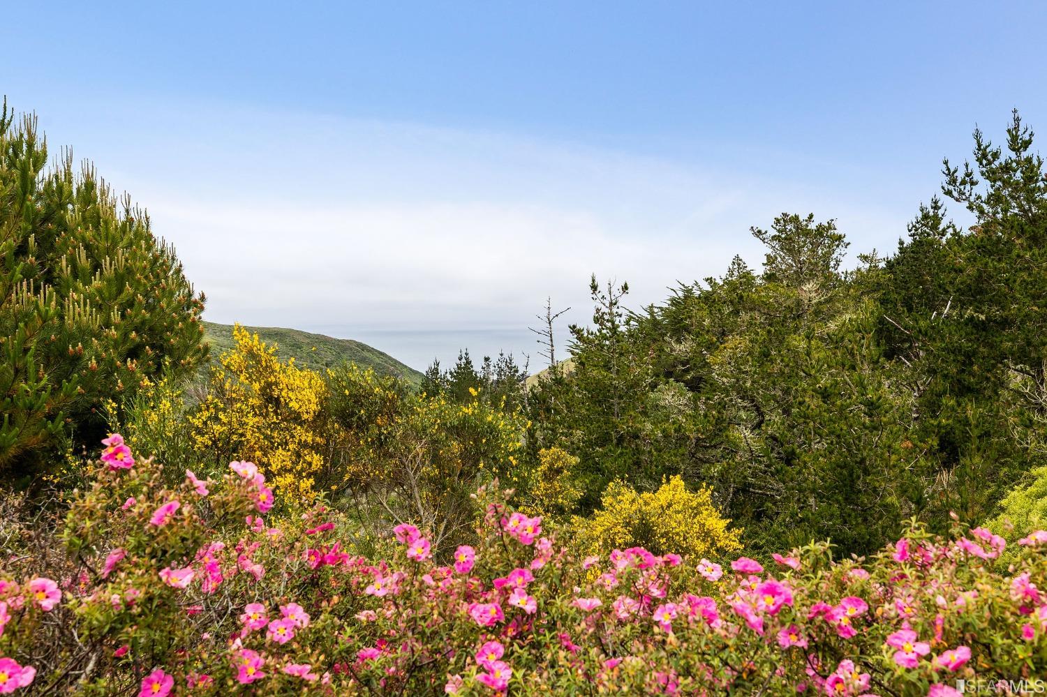 211 Sunset Court Pacifica, CA 94044 - Photo 5 of 84
