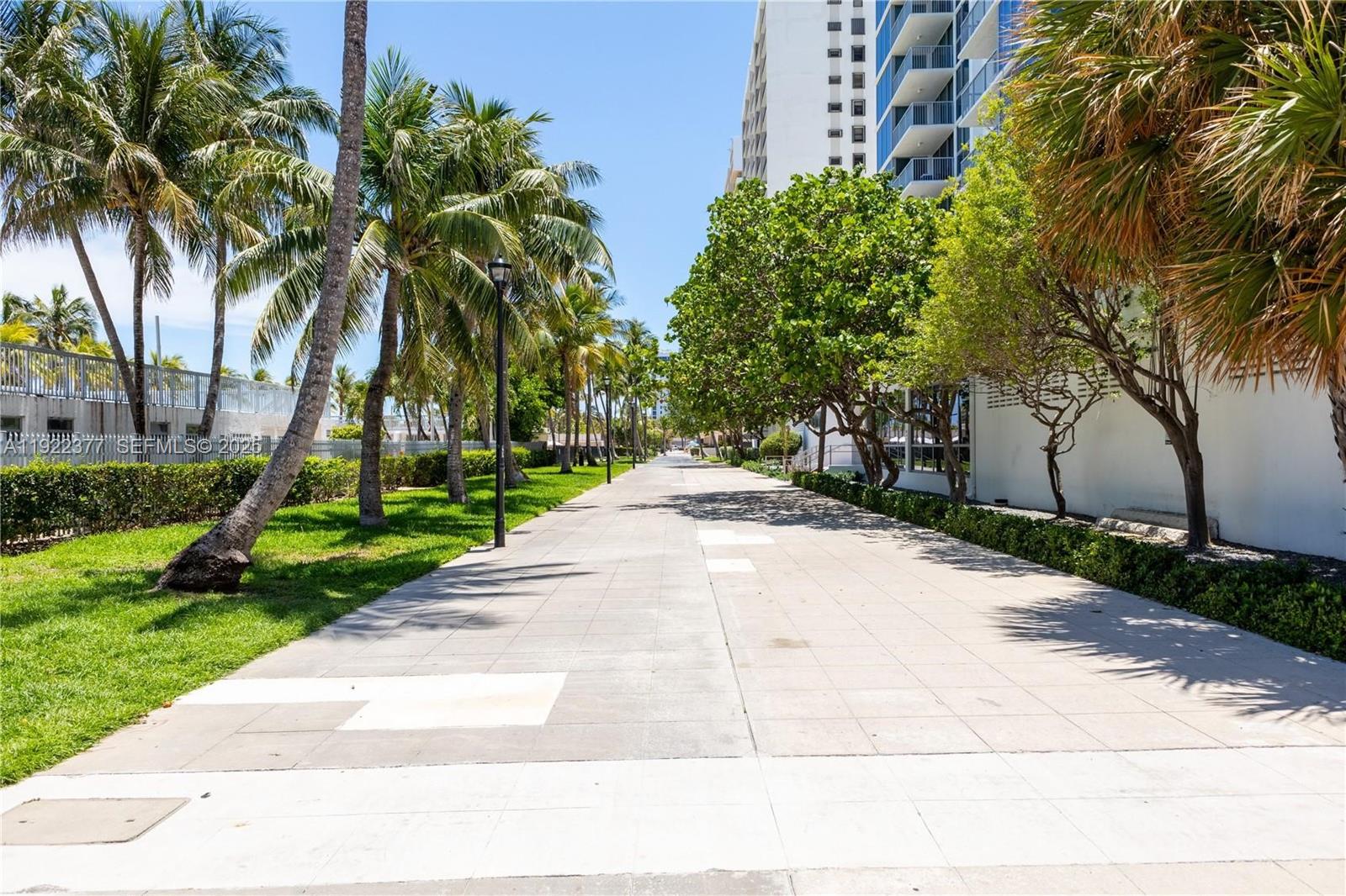 2655 Collins Avenue, Unit 603 Miami Beach, FL 33140 - Photo 55 of 66 a park view with palm trees