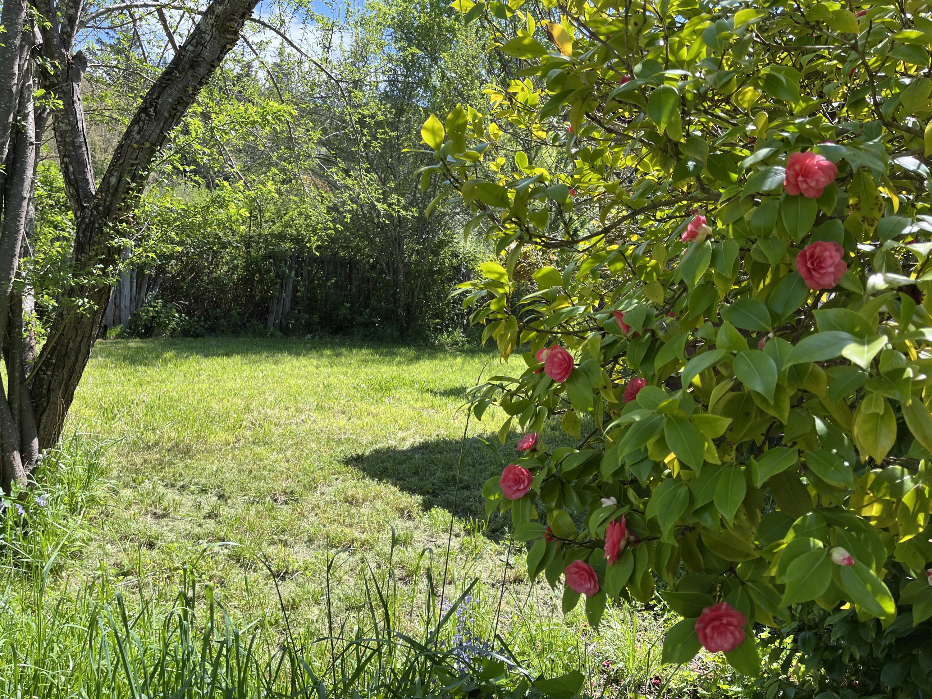 9302 Highway 96, Unit NONE Hoopa, CA 95546 - Photo 2 of 28