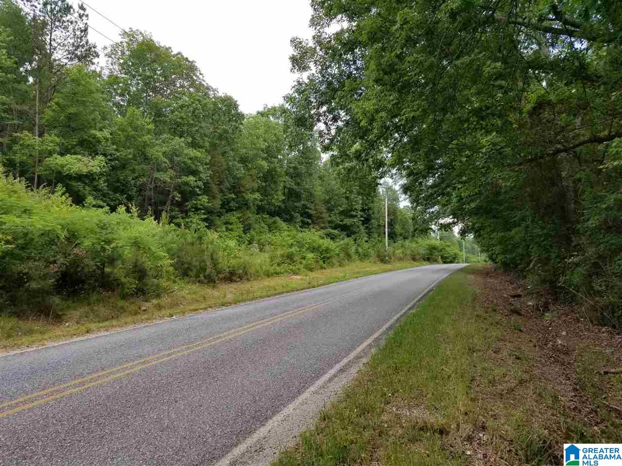 0 Rocky Hollow Road, Unit 12 Jacksonville, AL 36265 - Photo 8 of 15