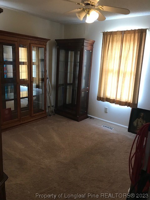 393 Ruskin Road Elizabethtown, NC 28337 - Photo 19 of 24 Gallery Image 19