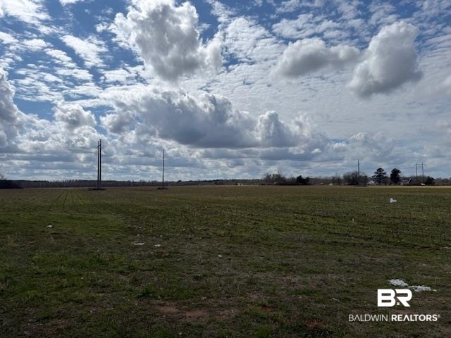 0 Old Atmore Road Flomaton, AL 36441 - Photo 1 of 3 View of yard featuring a view of countryside