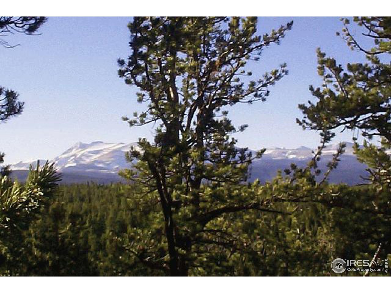 0 Feldspar Road Golden, CO 80403 - Photo 3 of 12