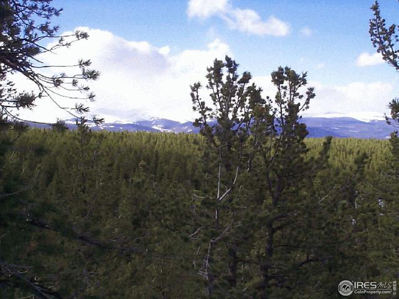 0 Feldspar Road Golden, CO 80403 - Photo 4 of 12