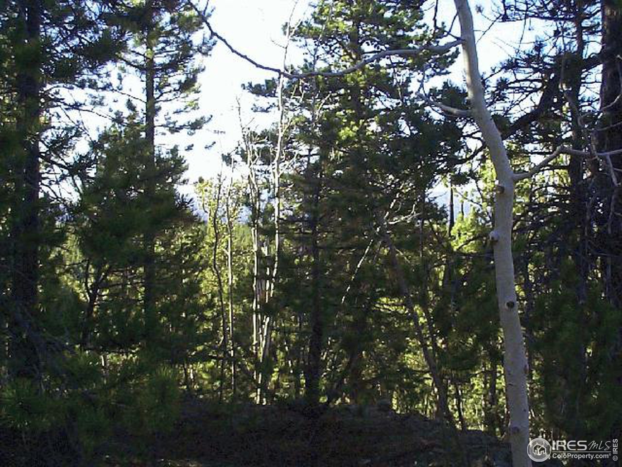 0 Feldspar Road Golden, CO 80403 - Photo 9 of 12