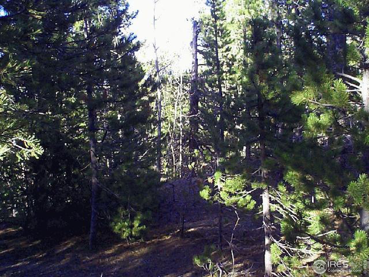 0 Feldspar Road Golden, CO 80403 - Photo 10 of 12