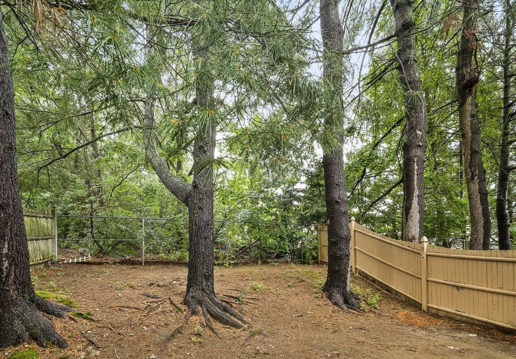 43 George Road, Unit 43 Winchester, MA 01890 - Photo 18 of 19 a view of a yard with large trees