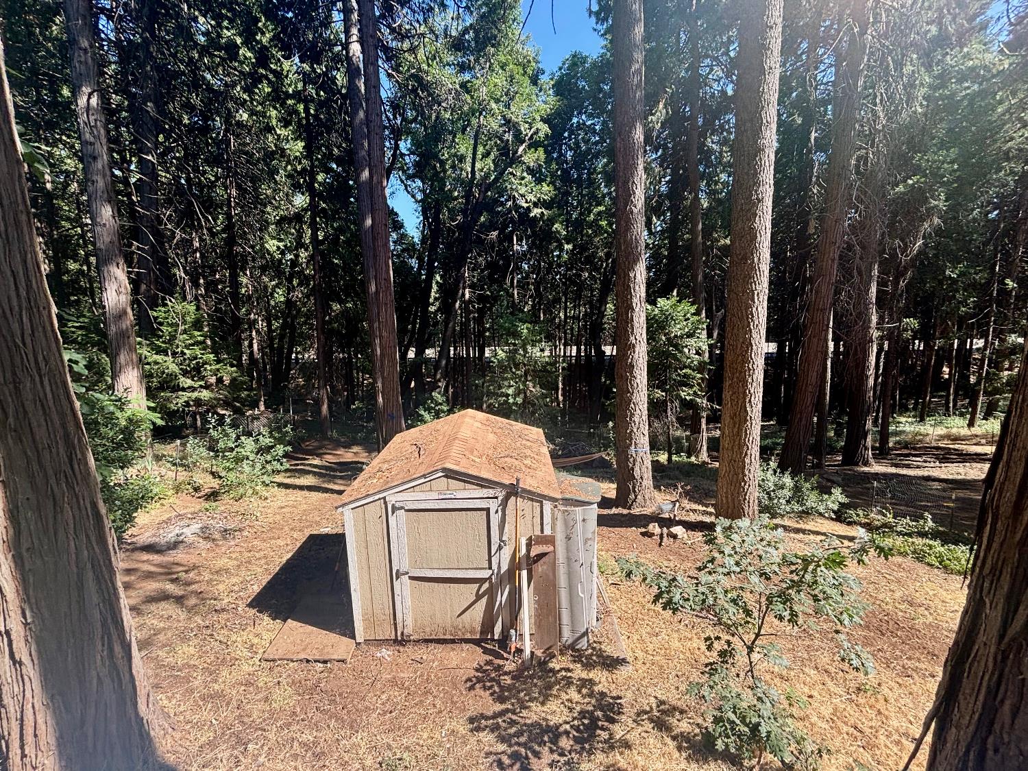 6200 Spruce Street Pollock Pines, CA 95726 - Photo 10 of 10