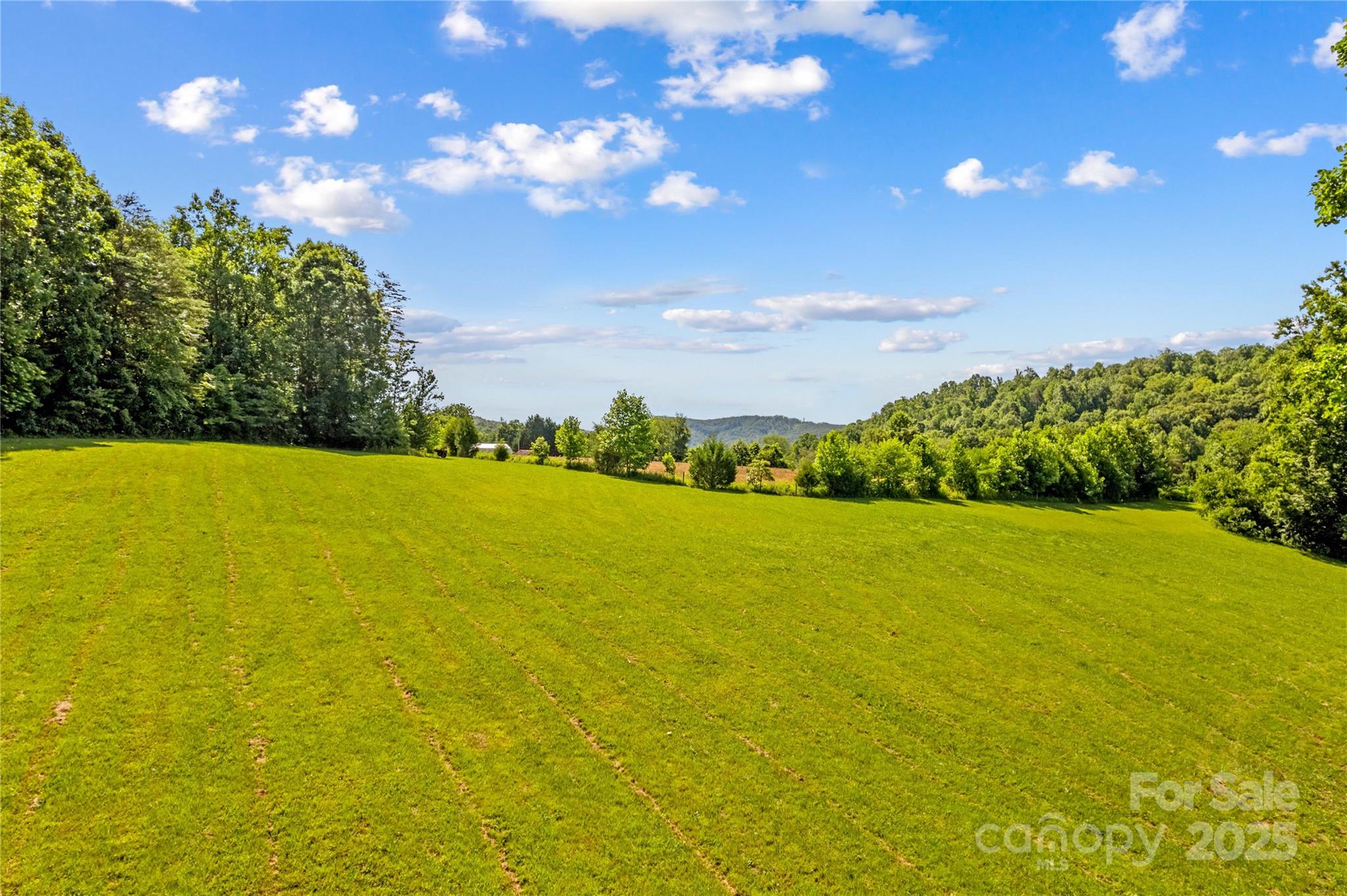 1043 Linneys Mill Road Union Grove, NC 28689 - Photo 38 of 47 Gallery Image 38