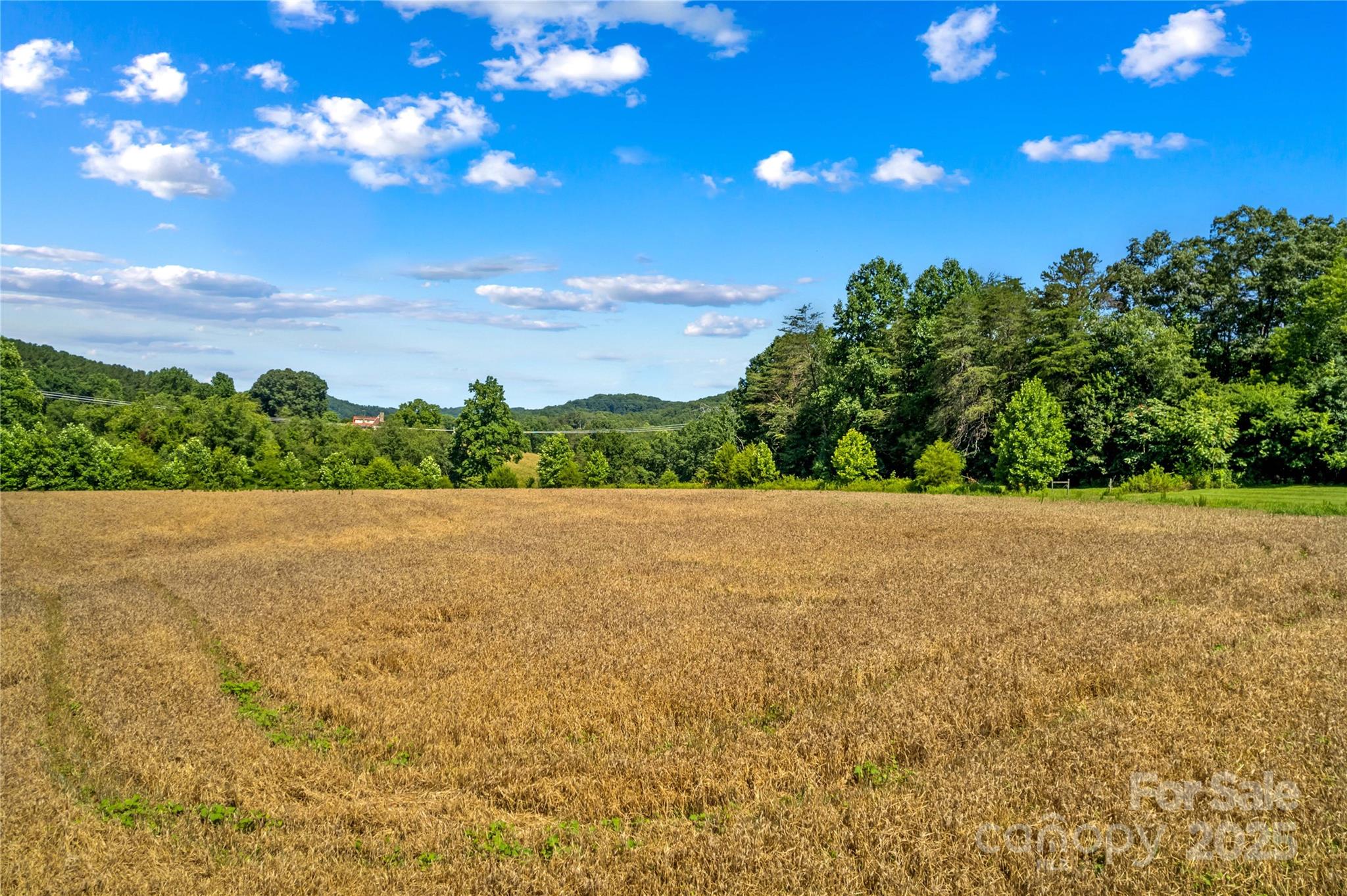 1043 Linneys Mill Road Union Grove, NC 28689 - Photo 39 of 47 Gallery Image 39