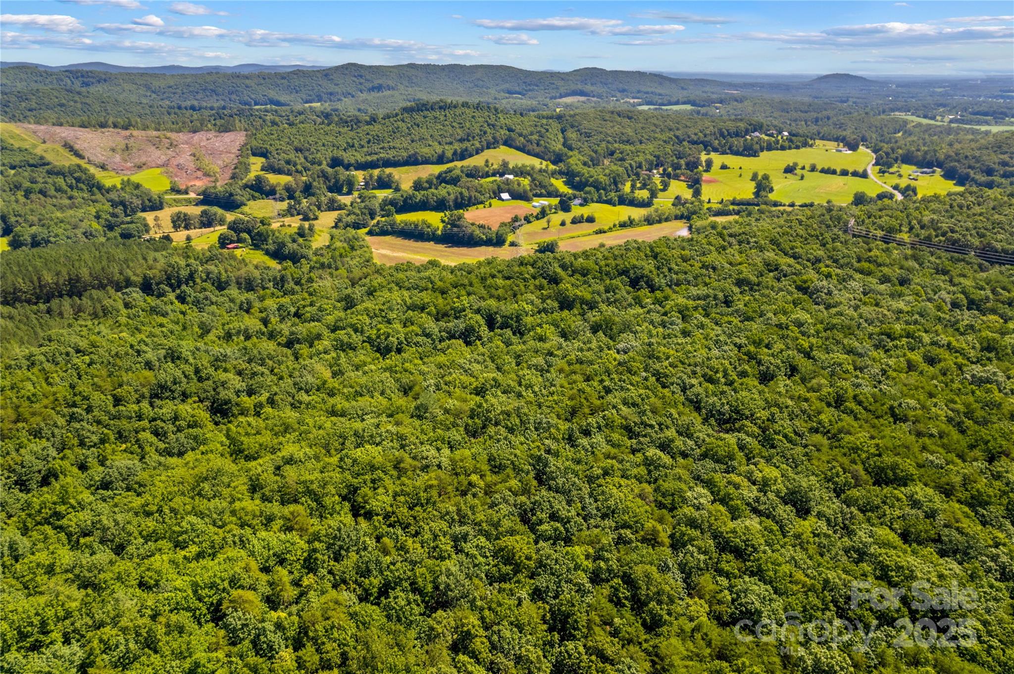 1043 Linneys Mill Road Union Grove, NC 28689 - Photo 44 of 47 Gallery Image 44