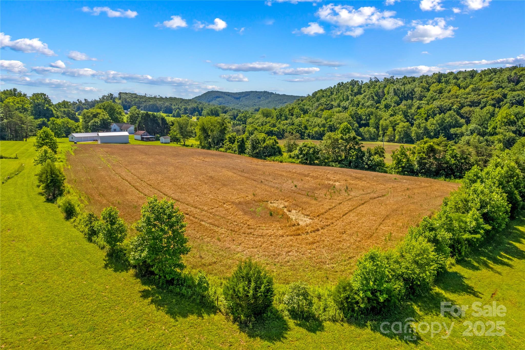 1043 Linneys Mill Road Union Grove, NC 28689 - Photo 47 of 47 Gallery Image 47