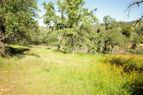 $75,000 | 1058 Salinas Street, La Grange, CA 95329