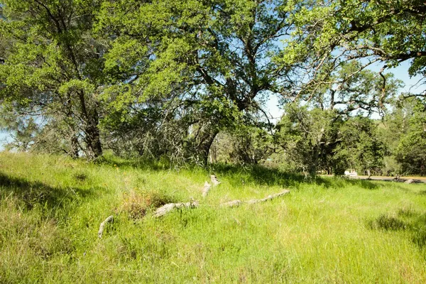 $75,000 | 1058 Salinas Street, La Grange, CA 95329