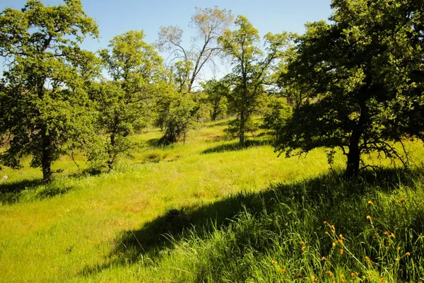 $75,000 | 1058 Salinas Street, La Grange, CA 95329