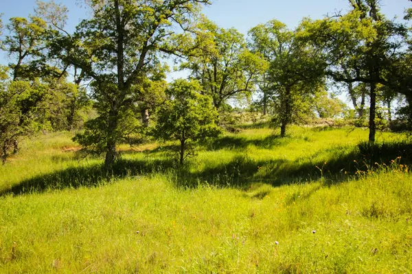 $75,000 | 1058 Salinas Street, La Grange, CA 95329