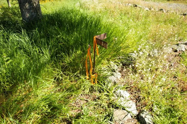 $75,000 | 1058 Salinas Street, La Grange, CA 95329