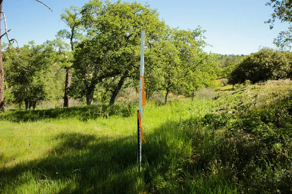 $75,000 | 1058 Salinas Street, La Grange, CA 95329