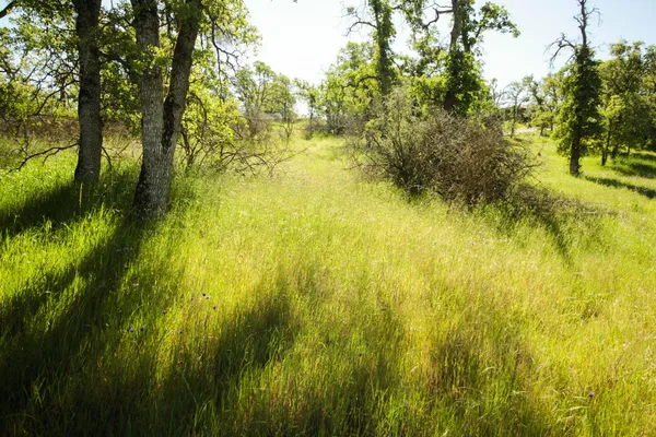 $75,000 | 1058 Salinas Street, La Grange, CA 95329