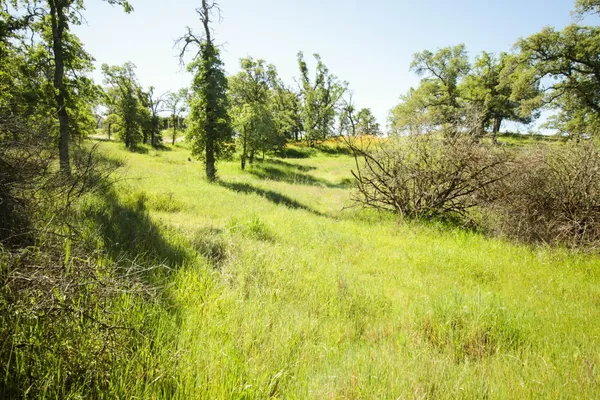 $75,000 | 1058 Salinas Street, La Grange, CA 95329