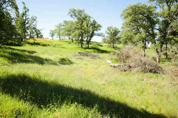 $75,000 | 1058 Salinas Street, La Grange, CA 95329