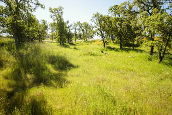 $75,000 | 1058 Salinas Street, La Grange, CA 95329