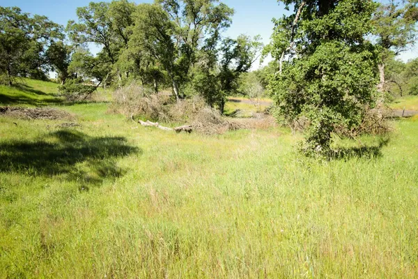 $75,000 | 1058 Salinas Street, La Grange, CA 95329