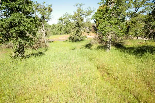 $75,000 | 1058 Salinas Street, La Grange, CA 95329