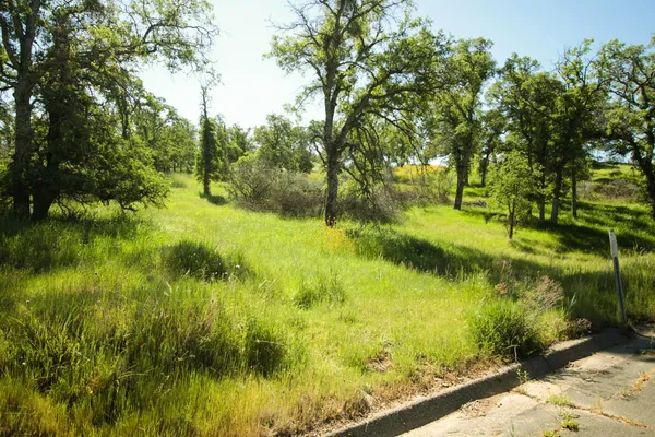 $75,000 | 1058 Salinas Street, La Grange, CA 95329