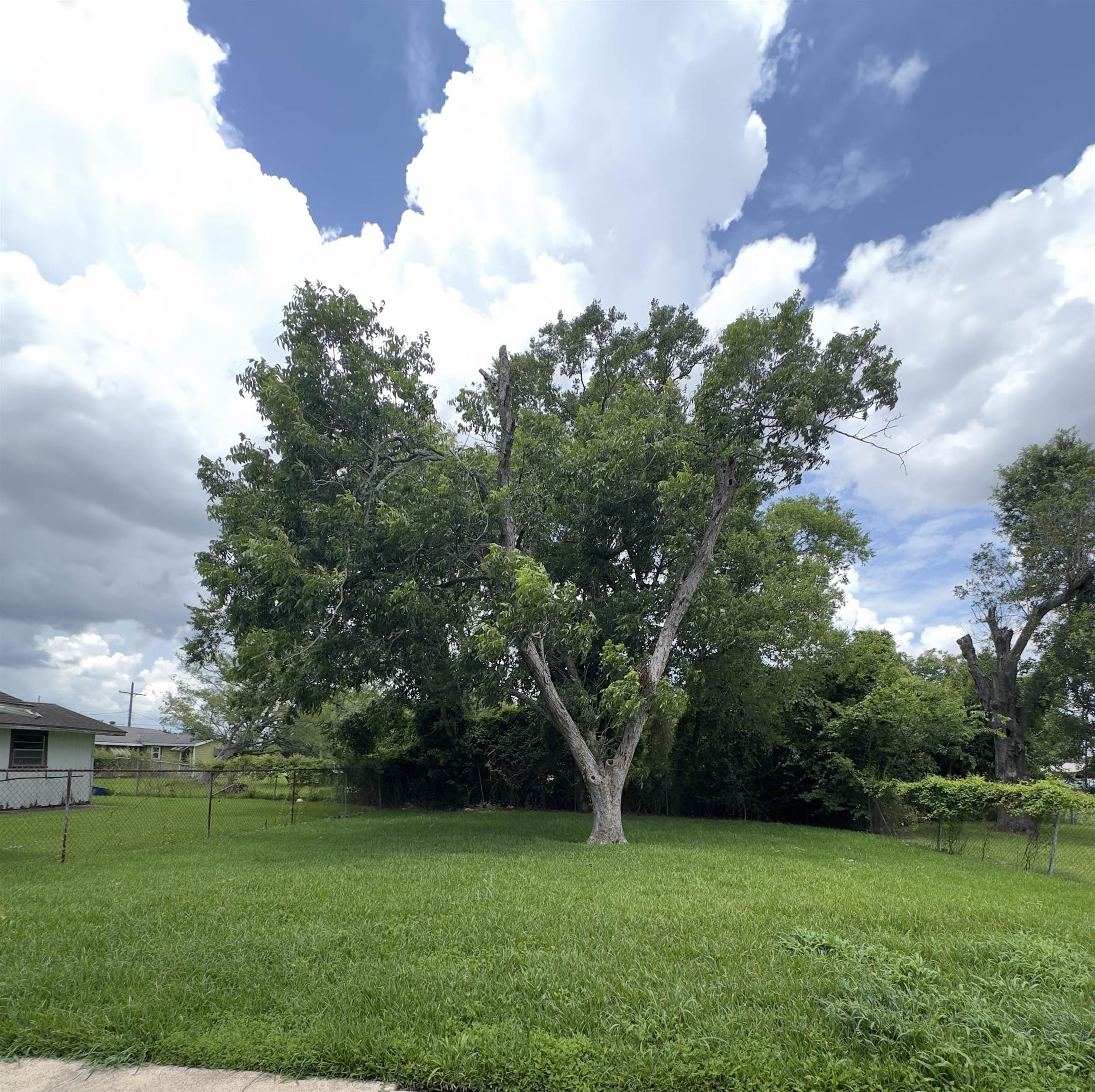 3414 Elinor Street Beaumont, TX 77705 - Photo 12 of 13
