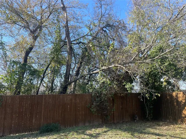 a view of a yard with large tree