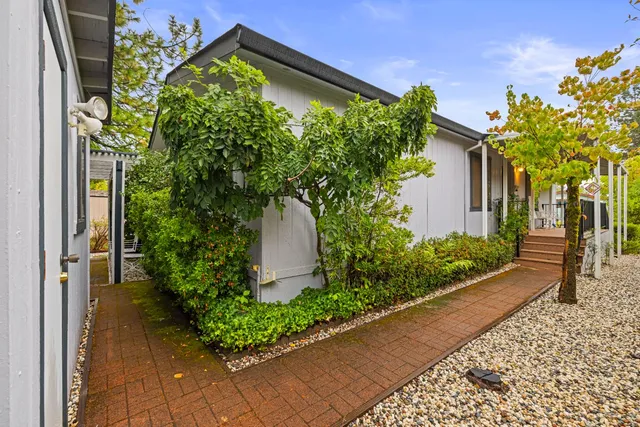 a view of a garden with plants