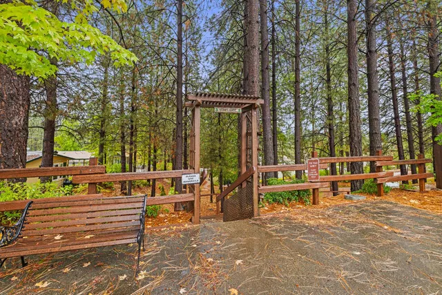 a view of outdoor space with lots of trees
