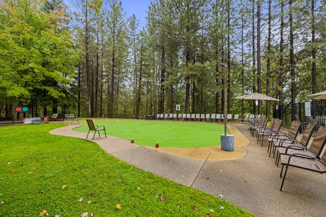 a view of a park with large trees