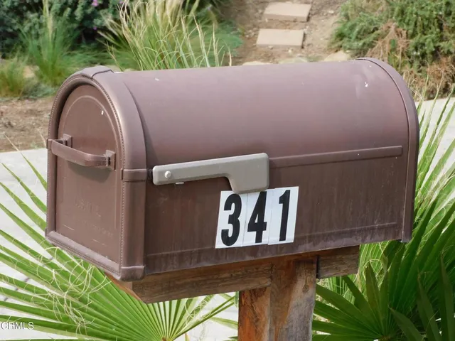 a view of outdoor space with garden and plants
