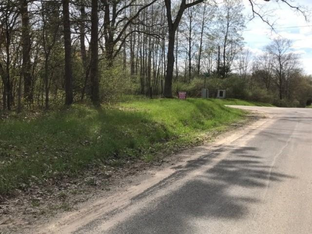 5824 North Mac Road Irons, MI 49644 - Photo 17 of 31 corner 5 acres