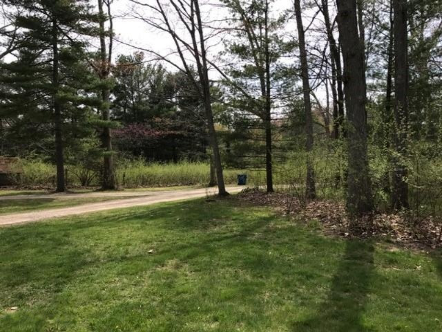 5824 North Mac Road Irons, MI 49644 - Photo 18 of 31 drive 2