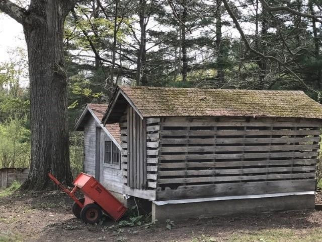 5824 North Mac Road Irons, MI 49644 - Photo 31 of 31 shed