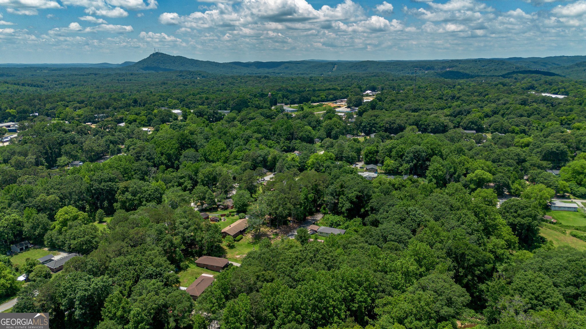 128 Branch Street Toccoa, GA 30577 - Photo 32 of 38 a view of a lush green forest with lots of trees