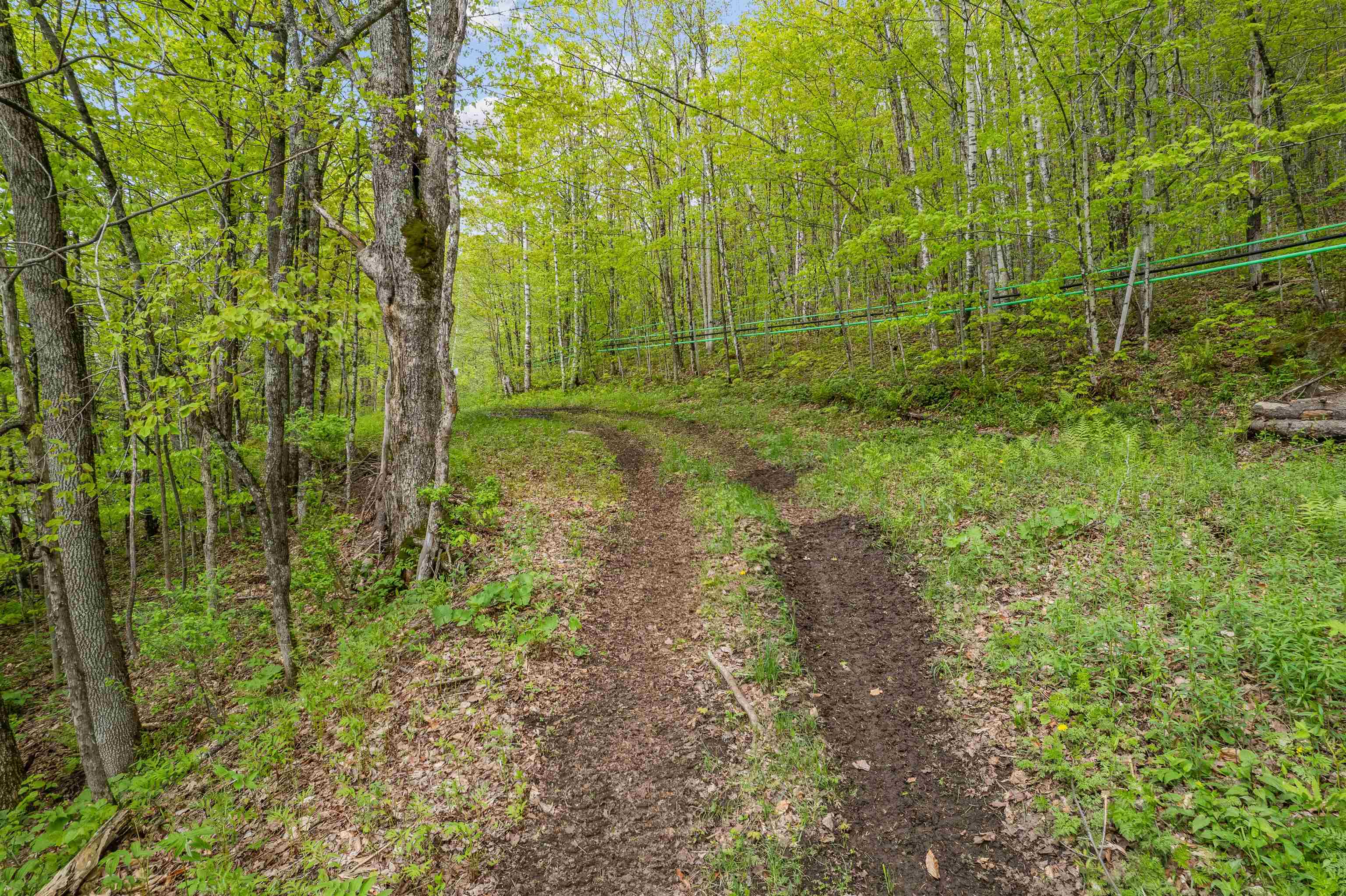 Noah Wood Road South Woodstock, VT 05071 - Photo 13 of 19