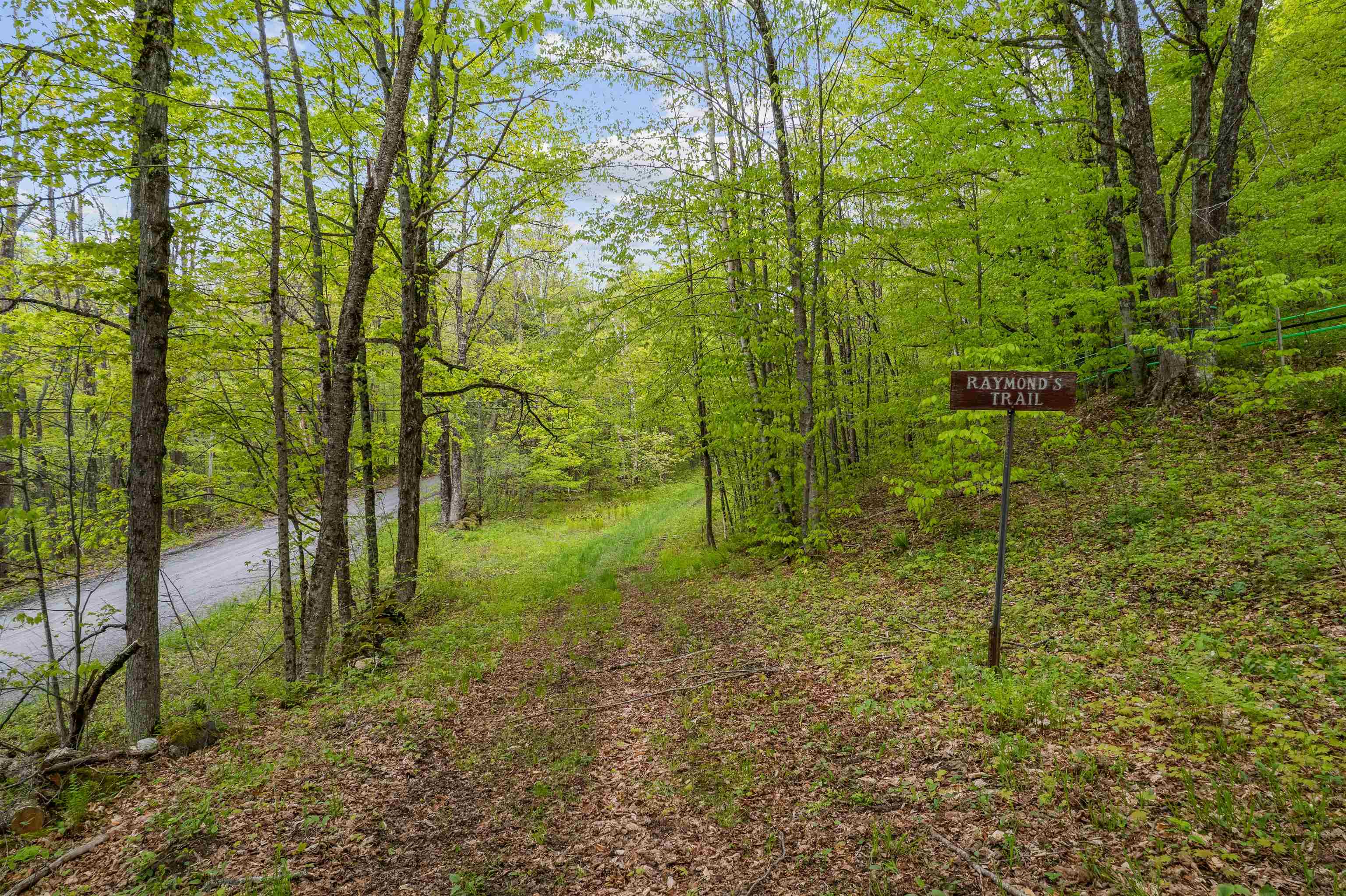 Noah Wood Road South Woodstock, VT 05071 - Photo 16 of 19