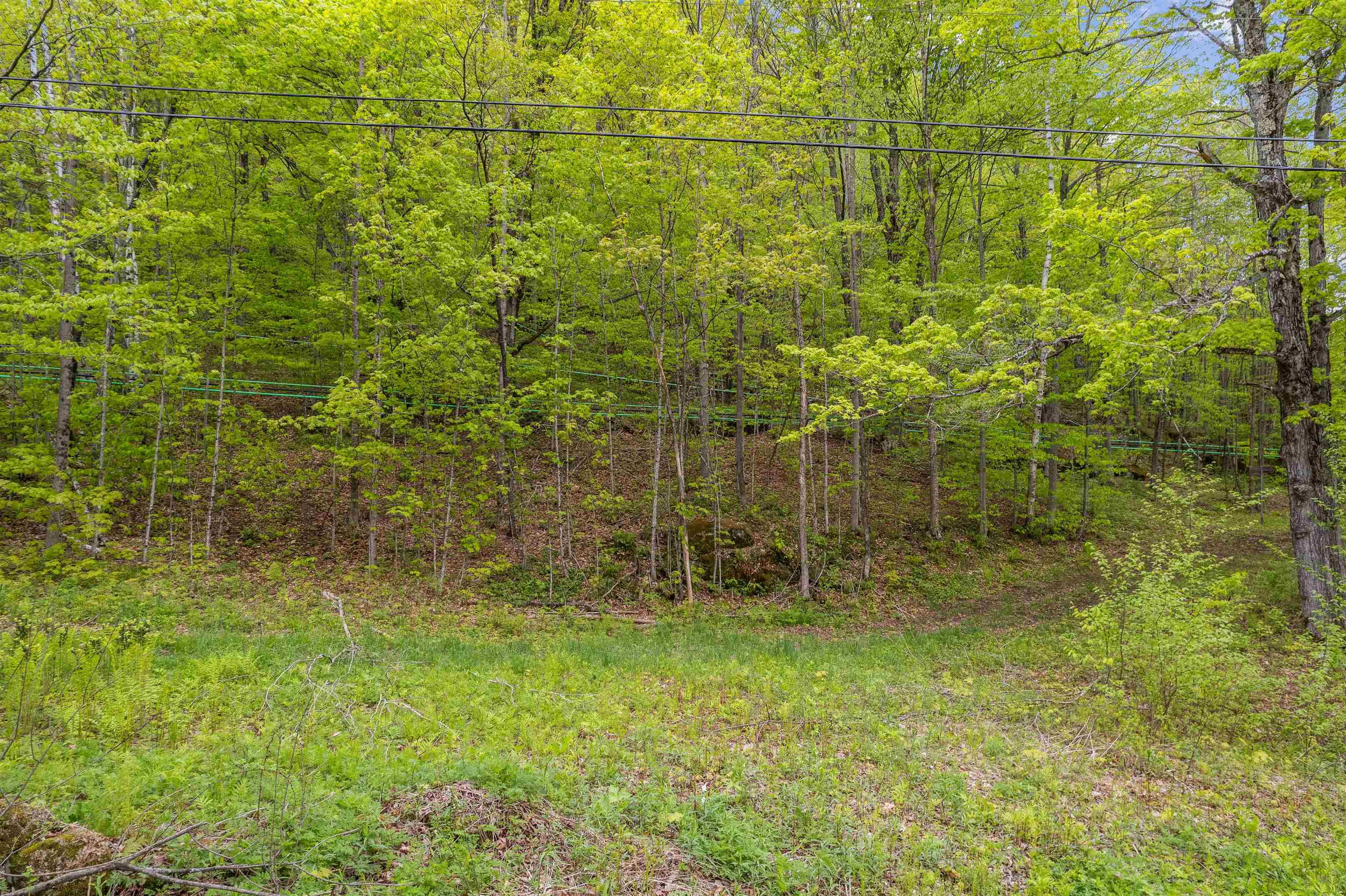 Noah Wood Road South Woodstock, VT 05071 - Photo 17 of 19