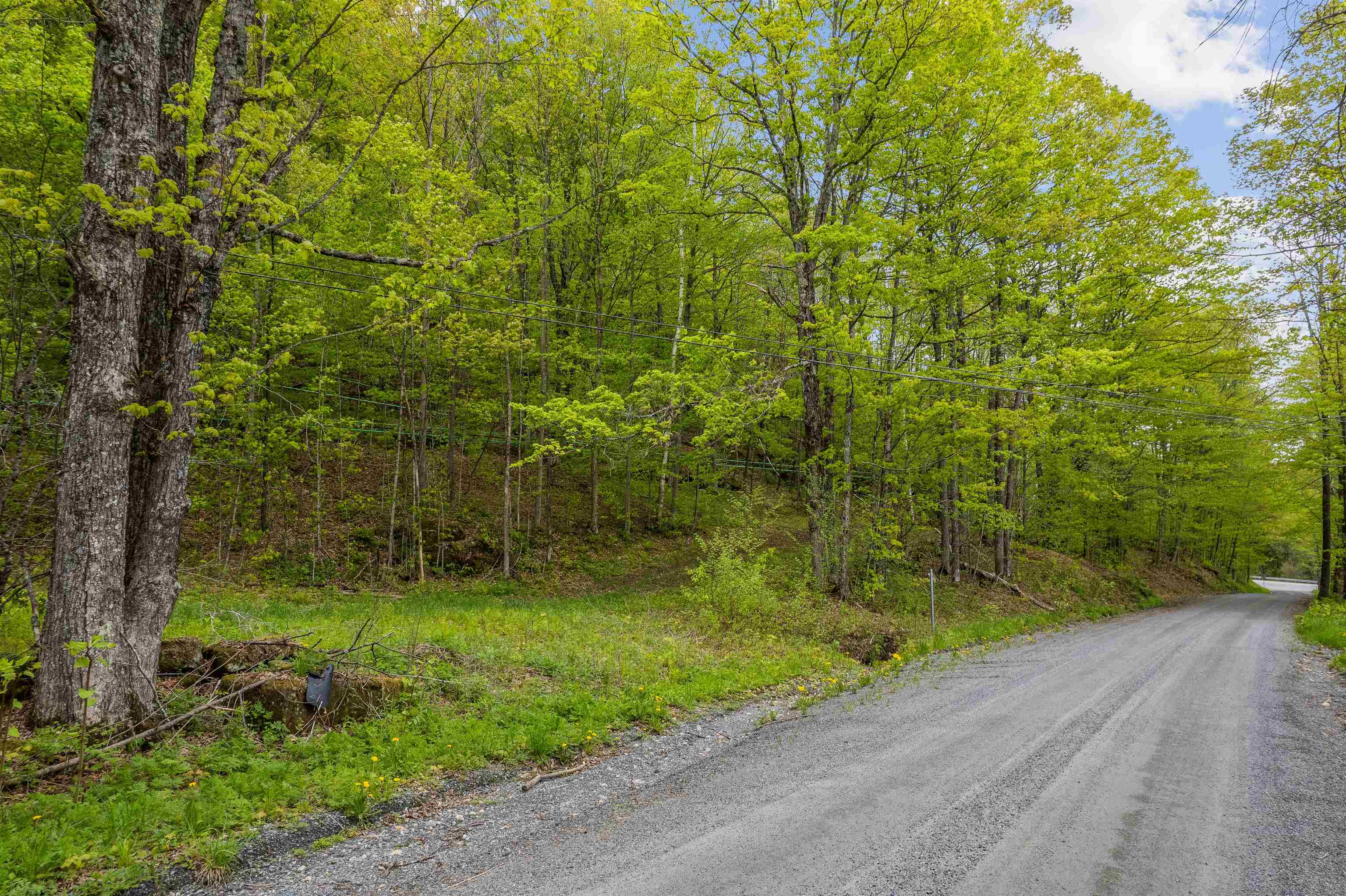 Noah Wood Road South Woodstock, VT 05071 - Photo 18 of 19