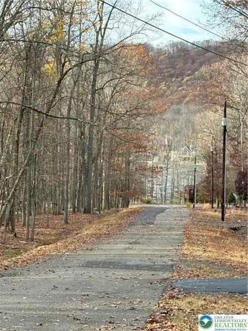 a view of a yard with a tree